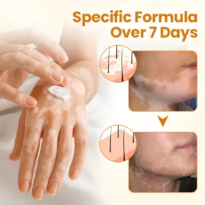 3 27b8f4ed 5c11 49e1 a3ac 525316d316a0