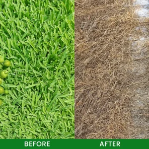 LIMETOW® Weed Remover