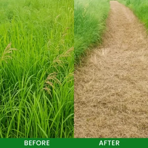 LIMETOW® Weed Remover