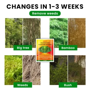 QIAWI® Cyclosinone Herbicide Granules