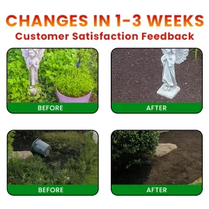 LIMETOW® Weed Remover