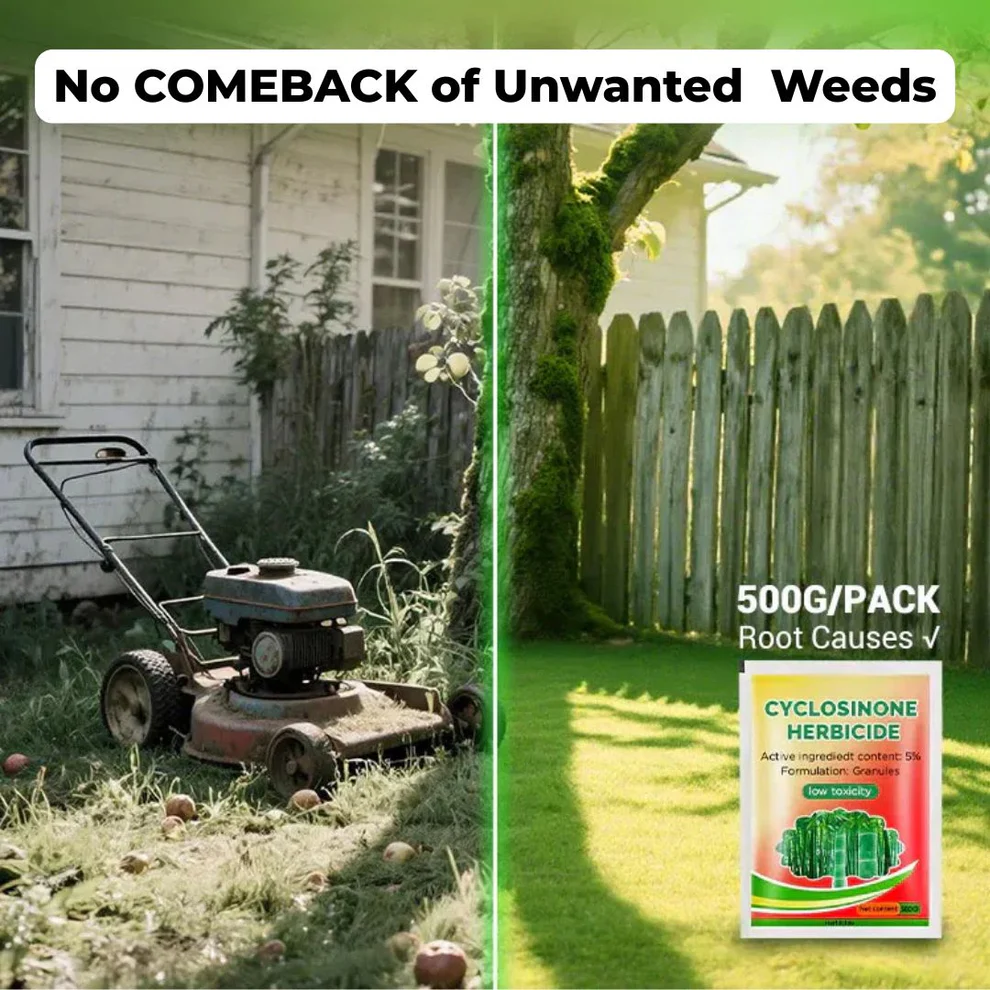 Cyclosinone Herbicide Granules 500gm image Cyclosinone Herbicide Granules 500gm