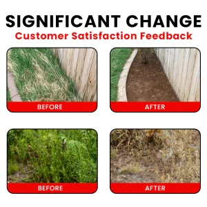 LIMETOW® Cyclosinone Herbicide Water Dispersible Granules image LIMETOW® Cyclosinone Herbicide Water Dispersible Granules