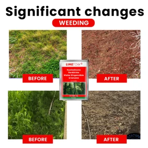 LIMETOW® Cyclosinone Herbicide Water Dispersible Granules image LIMETOW® Cyclosinone Herbicide Water Dispersible Granules