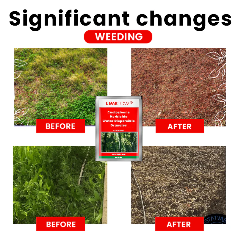 LIMETOW® Cyclosinone Herbicide Water Dispersible Granules image LIMETOW® Cyclosinone Herbicide Water Dispersible Granules