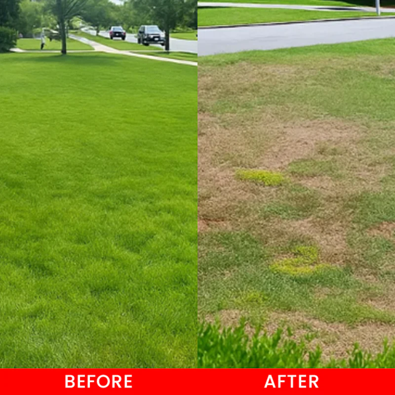 LIMETOW® Cyclosinone Herbicide Water Dispersible Granules image LIMETOW® Cyclosinone Herbicide Water Dispersible Granules