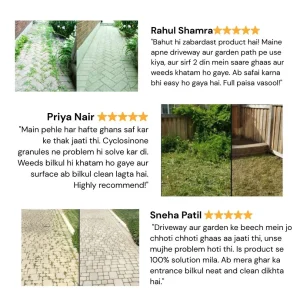 Cyclosinone Herbicide Granules 500gm image Cyclosinone Herbicide Granules 500gm