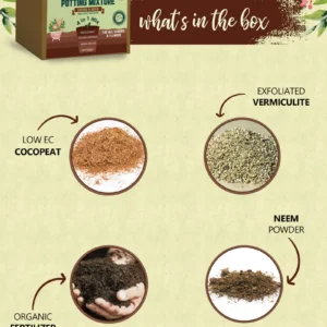 4 in 1 Soil less Potting Mix with Cocopeat, Vermiculite, Neem Powder & Fertilizer image 4 in 1 Soil less Potting Mix with Cocopeat, Vermiculite, Neem Powder & Fertilizer