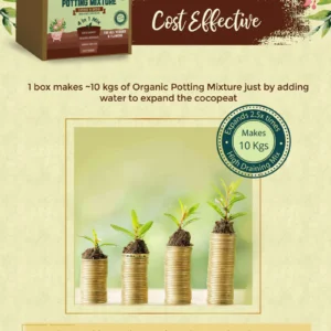 4 in 1 Soil less Potting Mix with Cocopeat, Vermiculite, Neem Powder & Fertilizer image 4 in 1 Soil less Potting Mix with Cocopeat, Vermiculite, Neem Powder & Fertilizer