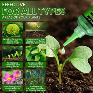 LIMETOW® Botanical Revival Elixir