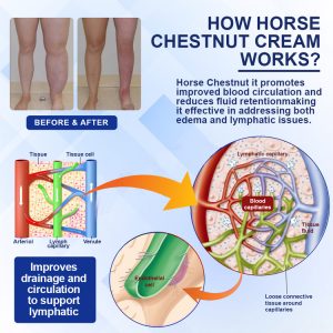 Elycura™ Lymphatic Drainage Massage Cream image Elycura™ Lymphatic Drainage Massage Cream